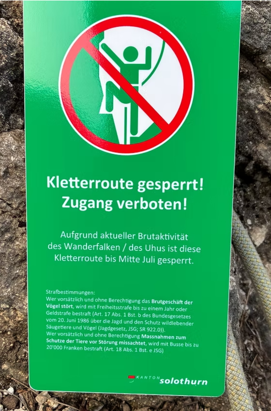 Uhu-Brut Kletterroute gesperrt